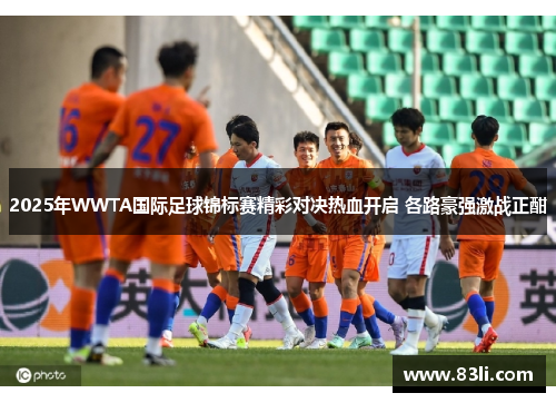 2025年WWTA国际足球锦标赛精彩对决热血开启 各路豪强激战正酣
